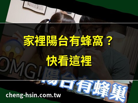 陽台蜂窩