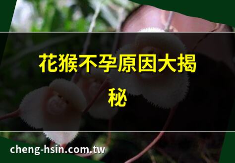 花猴不孕原因大揭秘 | 花猴不孕解決方法 | 花猴不孕最新研究 | 花猴不孕2025新發現