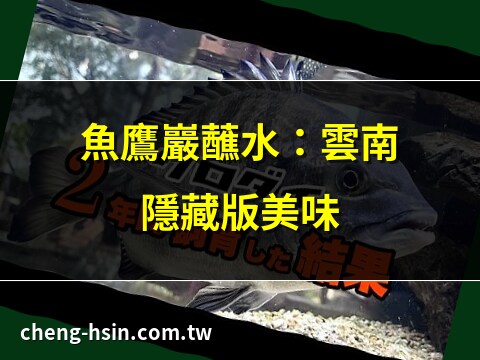 蘸水魚鷹岩